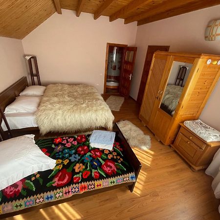 Pensiunea Valea Badilii Valea Iasului Exterior foto