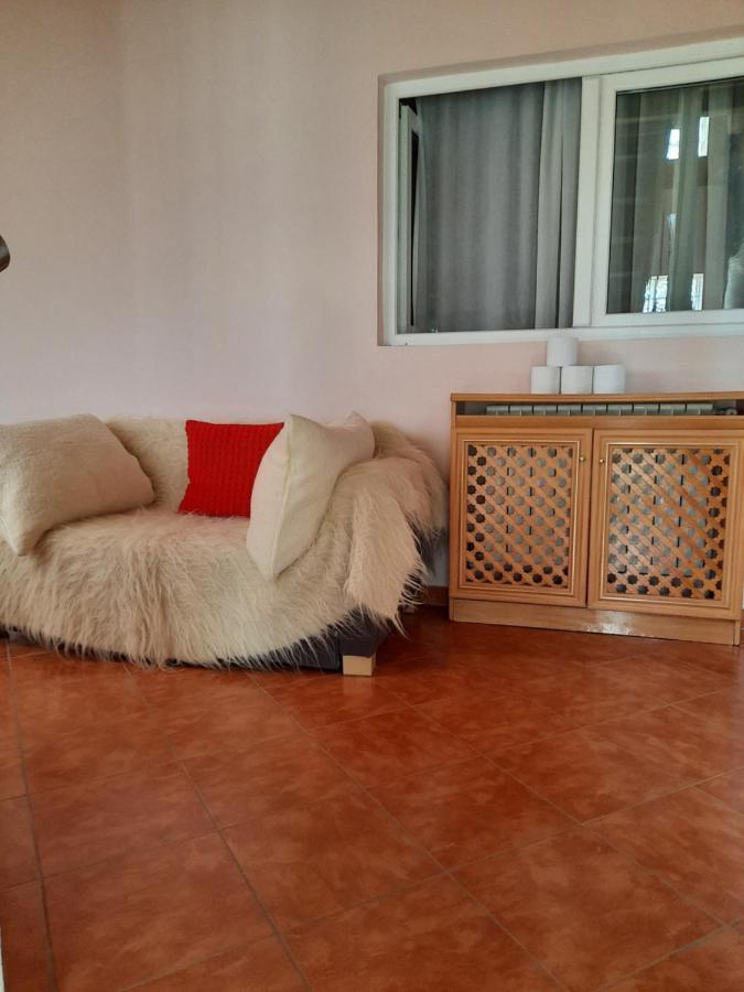 Pensiunea Valea Badilii Valea Iasului Exterior foto