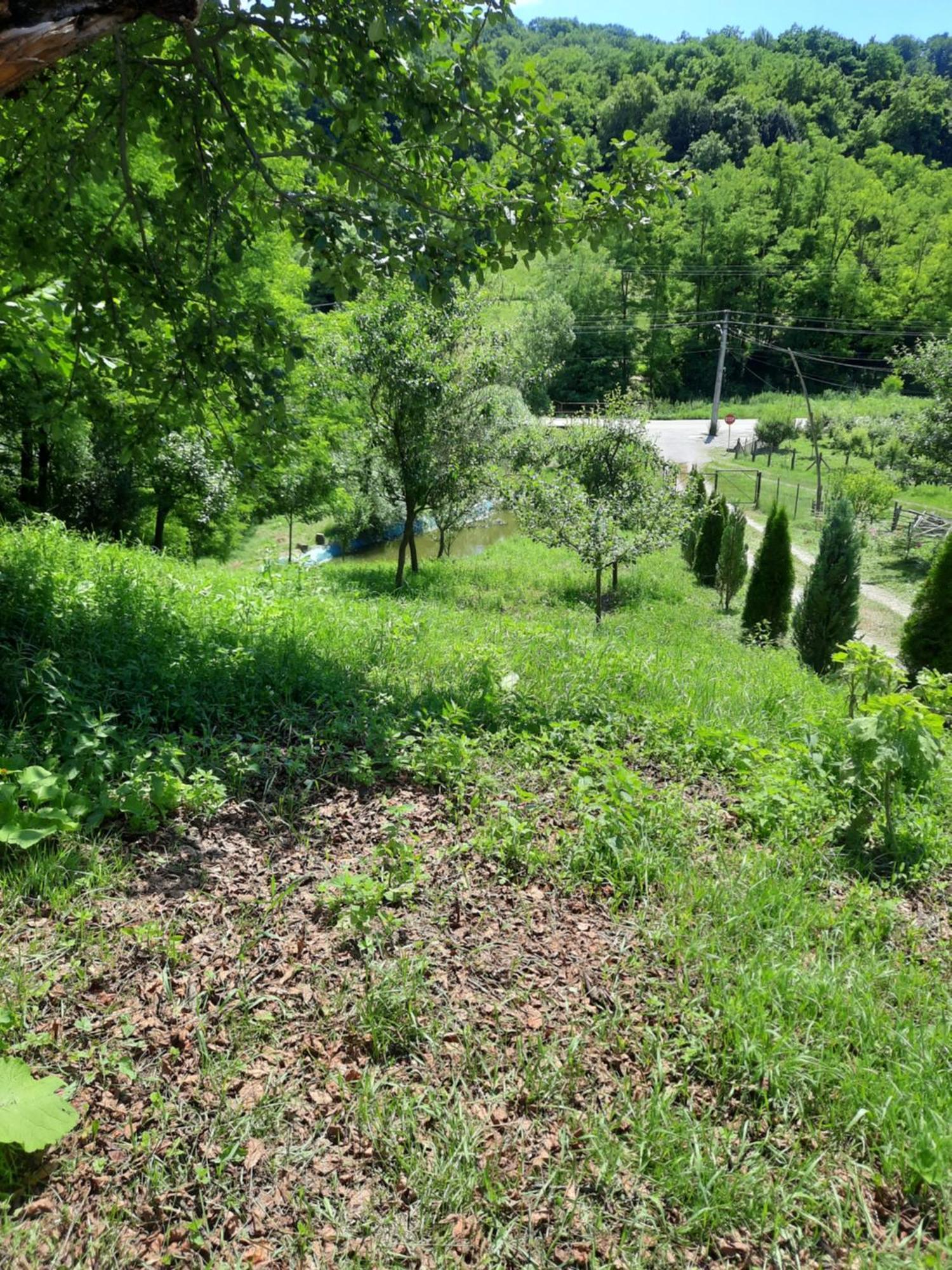 Pensiunea Valea Badilii Valea Iasului Habitación foto