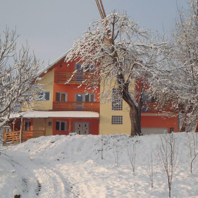 Pensiunea Valea Badilii Valea Iasului Exterior foto